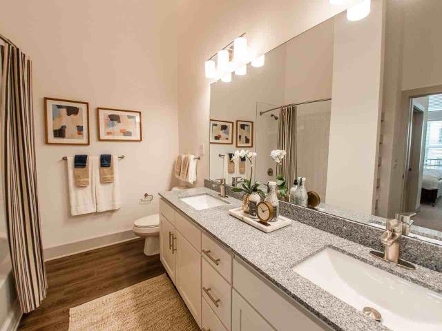 Apartment for rent in NoDa, Charlotte