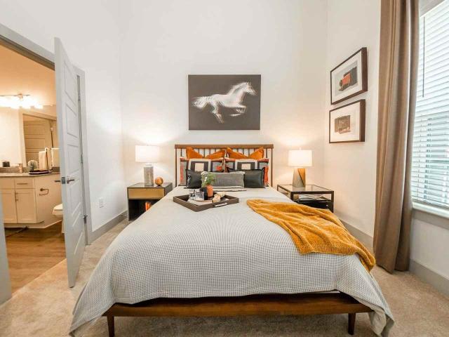 Apartment for rent in NoDa, Charlotte