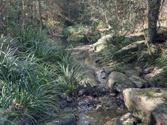 Land for sale in Toombul, Queensland