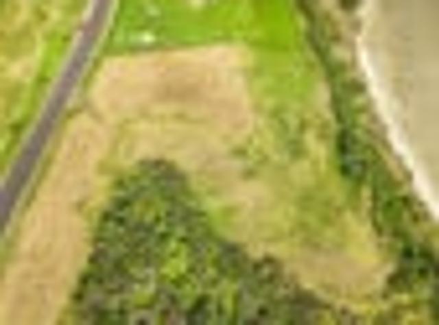 Land for sale in Northland