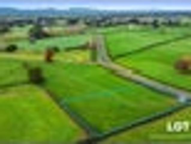 Land for sale in Waikato