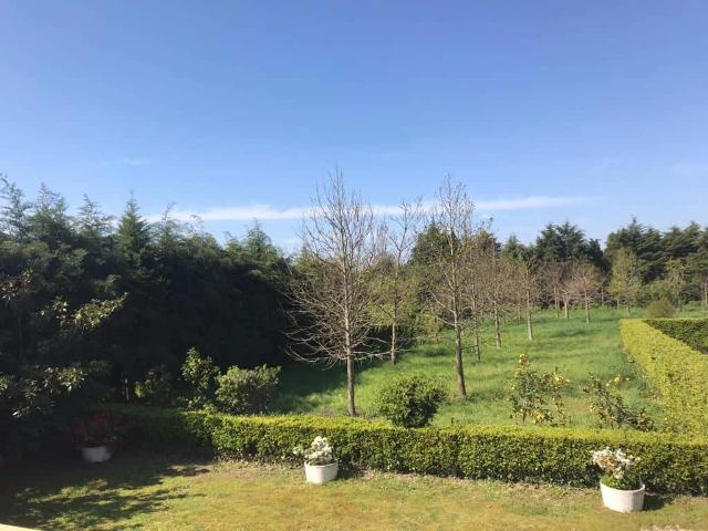 Apartamento alugar em Cunha, Viana Do Castelo