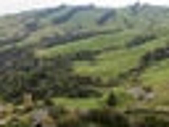 Land for sale in Waikato