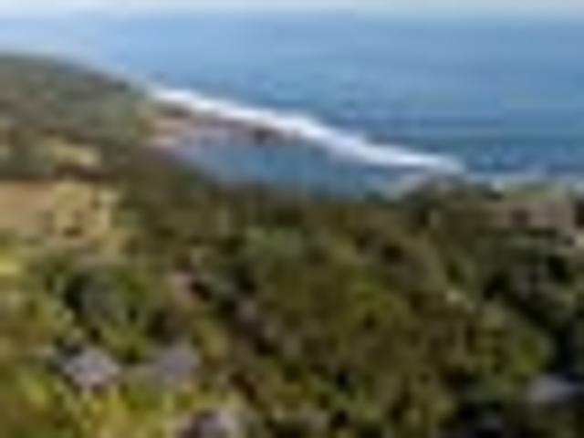House for sale in Raglan