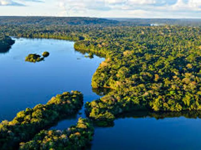 Fazenda venda em Região Geográfica Imediata de Manaus, Itamarati