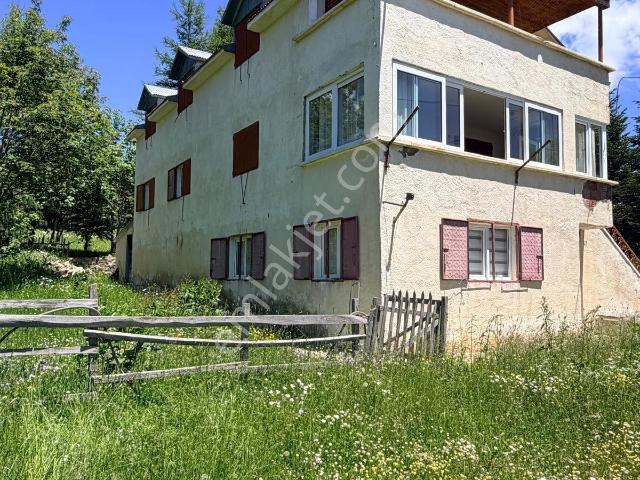 Ordu içerisinde satılık mülk