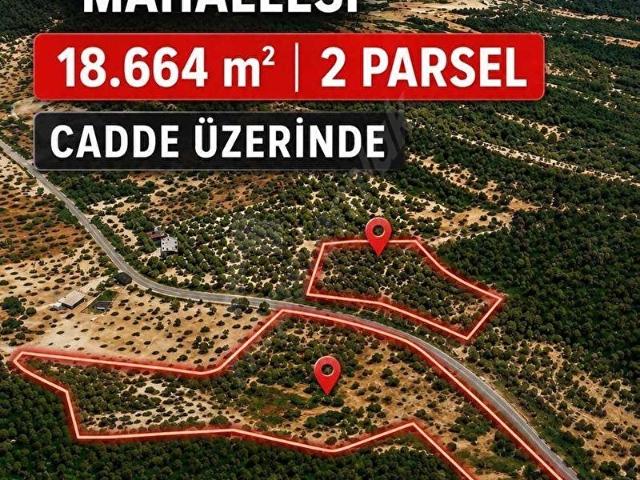 Urla, İzmir içerisinde satılık Arsa