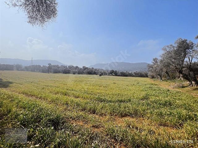 Güzelbahçe, İzmir içerisinde satılık Arsa