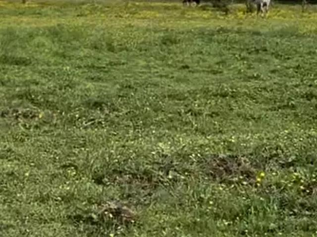 Terrain vente à Ambarès-et-lagrave