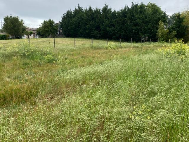 Terrain vente à Bordeaux, Ambarès-et-lagrave