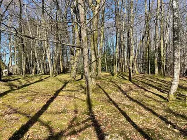 Terrain vente à Limoges, Ambazac