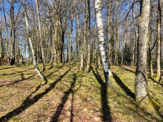 Terrain vente à Limoges, Ambazac