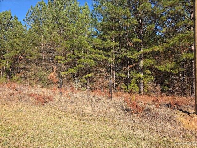 Land for sale in Shorter, Alabama