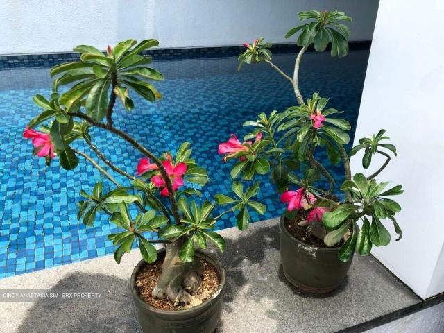 Condominium for sale