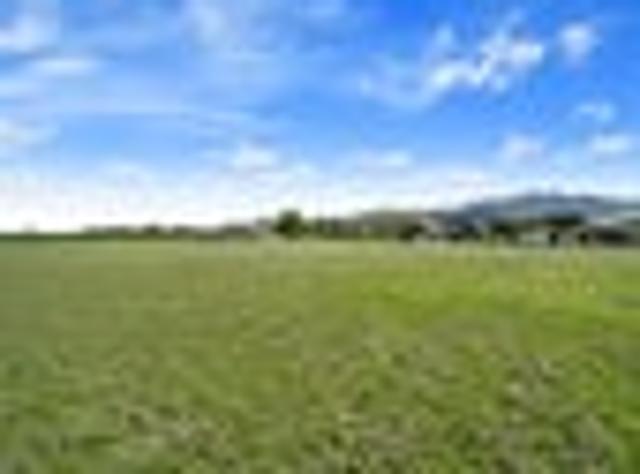 Land for sale in Pirongia, Waikato