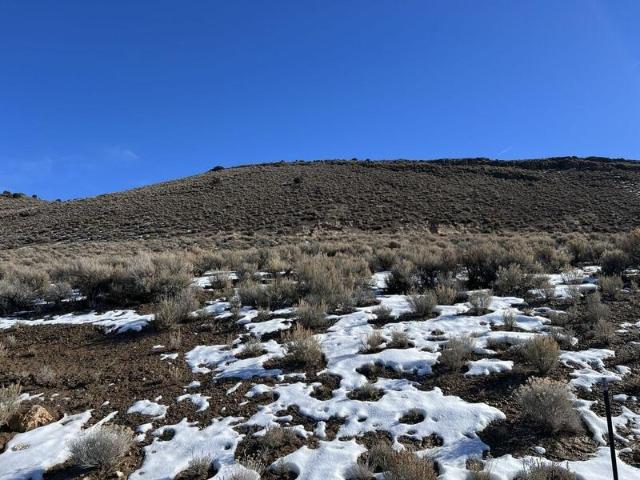 Land for sale in Elko