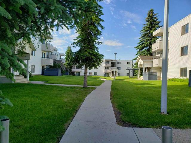Apartment for rent in Wedgewood, Alberta