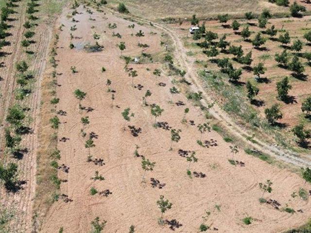 Elmalı Mahallesi, Çameli içerisinde satılık mülk
