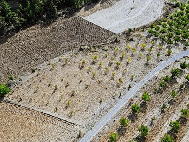 Gökçeyaka, Çameli içerisinde satılık Arsa