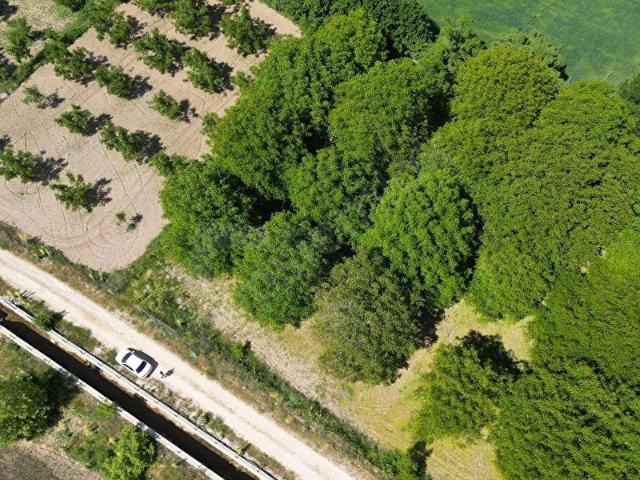 Kızılyaka, Çameli içerisinde satılık Arsa