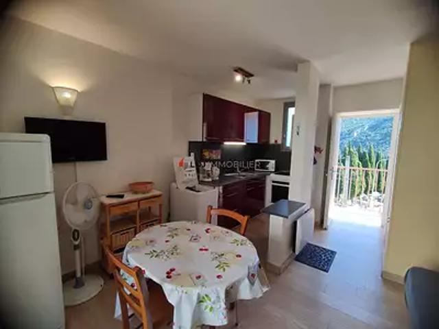 Appartement vente à Céret, Amélie-les-bains-palalda