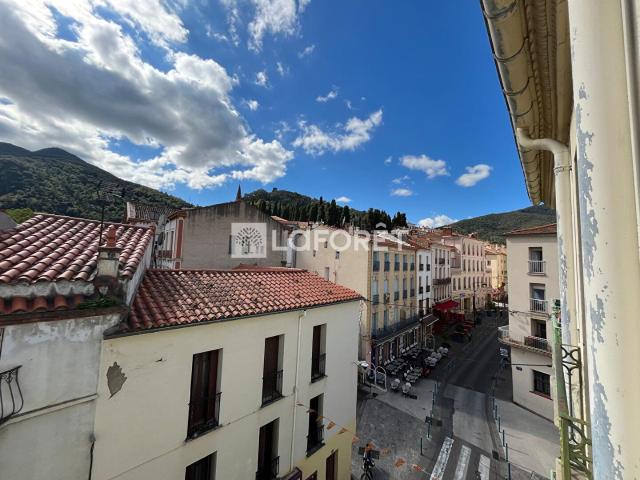 Appartement vente à Céret, Amélie-les-bains-palalda