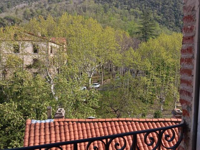 Appartement vente à Céret, Amélie-les-bains-palalda