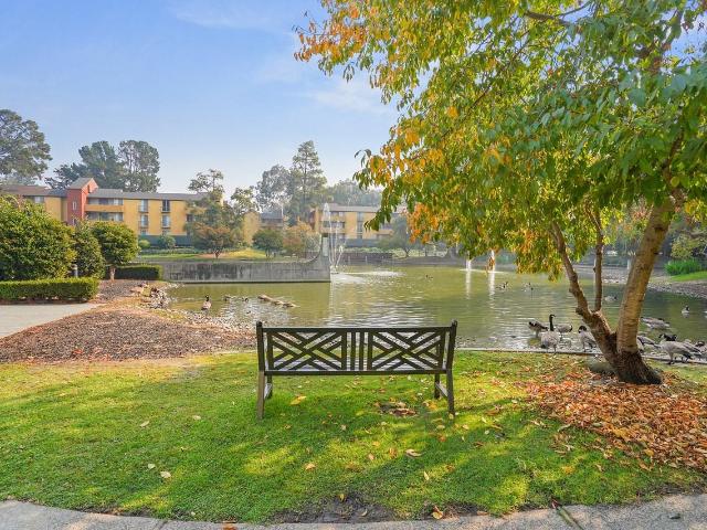 Apartment for rent in Mountain View, California