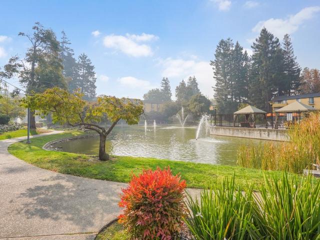 Apartment for rent in Mountain View, California