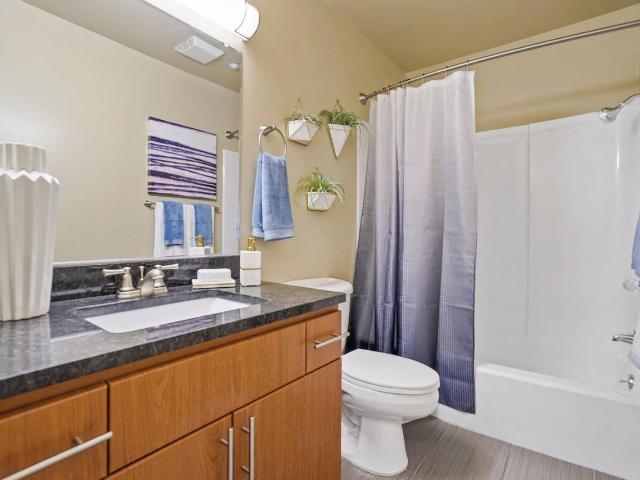 Apartment for rent in Mountain View, California