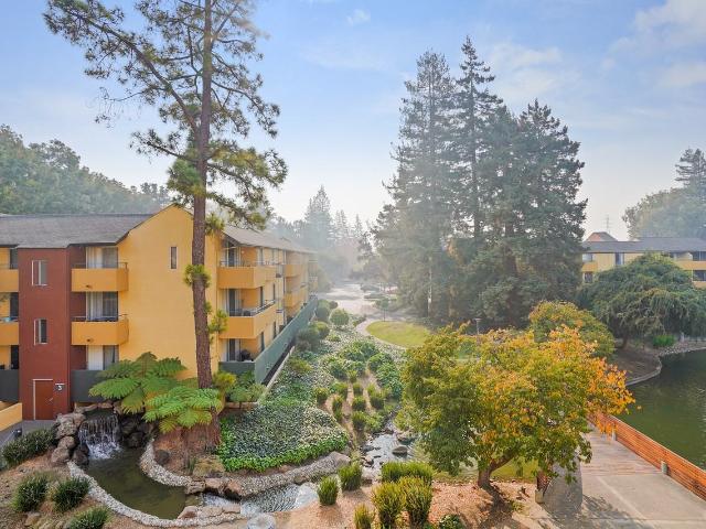 Apartment for rent in Mountain View, California