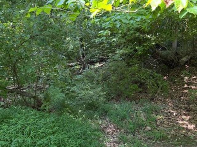 Land for sale in Barboursville, West Virginia