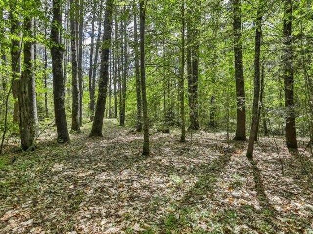 Land for sale in New Hampshire