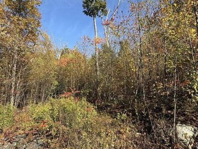 Land for sale in Belchertown, Massachusetts