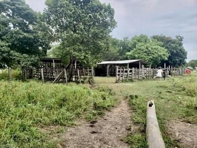 Rancho en venta en Jonuta, Tabasco