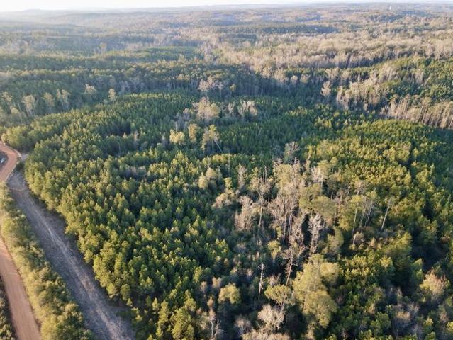 Land for sale in Alabama