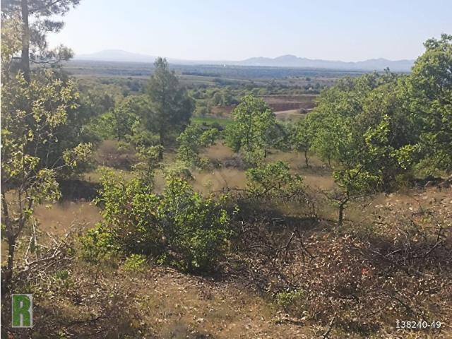 Çamköy, Bekilli içerisinde satılık Arsa
