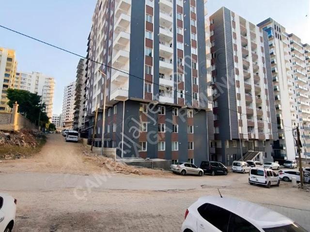 Mardin Merkez, Mardin içerisinde kiralık mülk