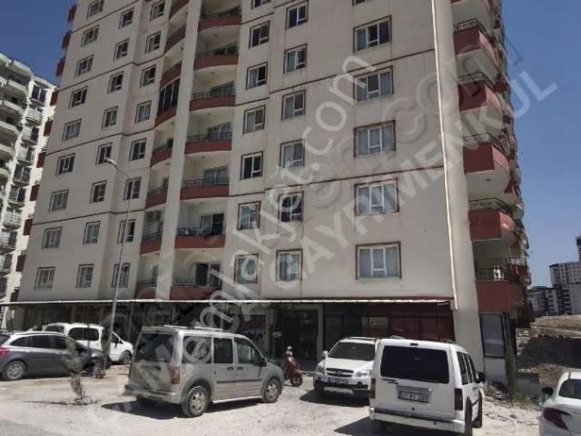 Mardin Merkez, Mardin içerisinde kiralık mülk