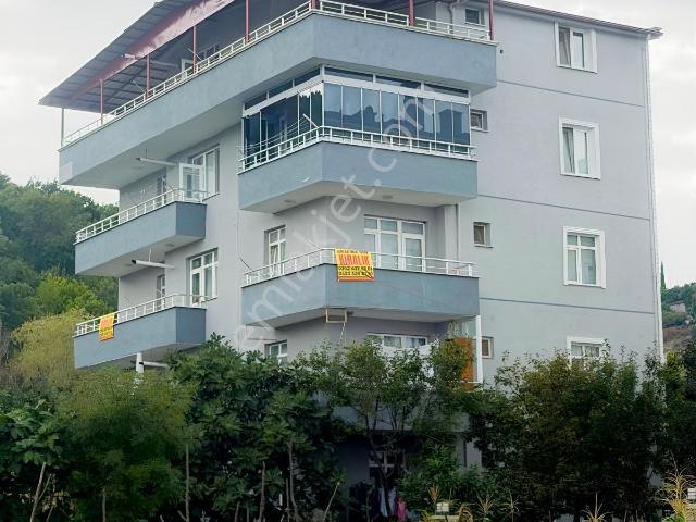 Atakum, Samsun içerisinde kiralık mülk