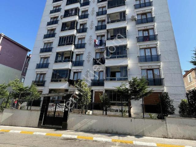 Pendik, İstanbul içerisinde kiralık mülk