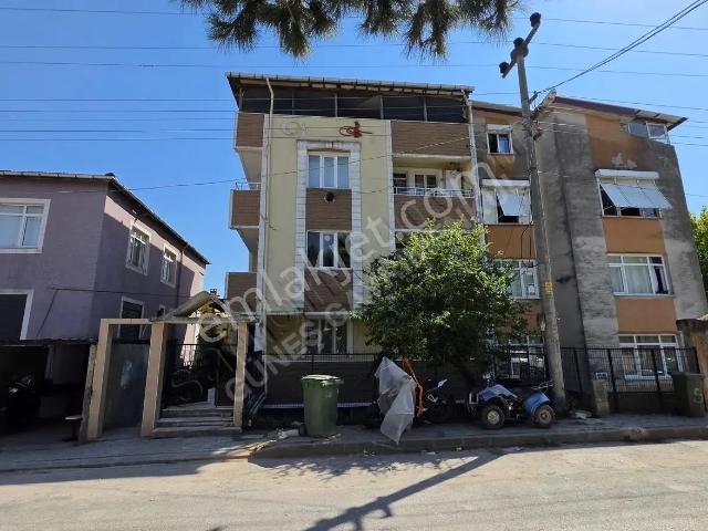 Körfez, Kocaeli içerisinde kiralık mülk