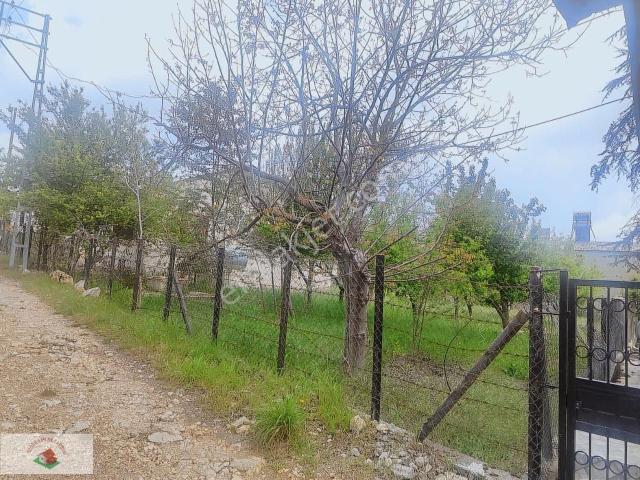 Çamliyayla içerisinde kiralık Villa