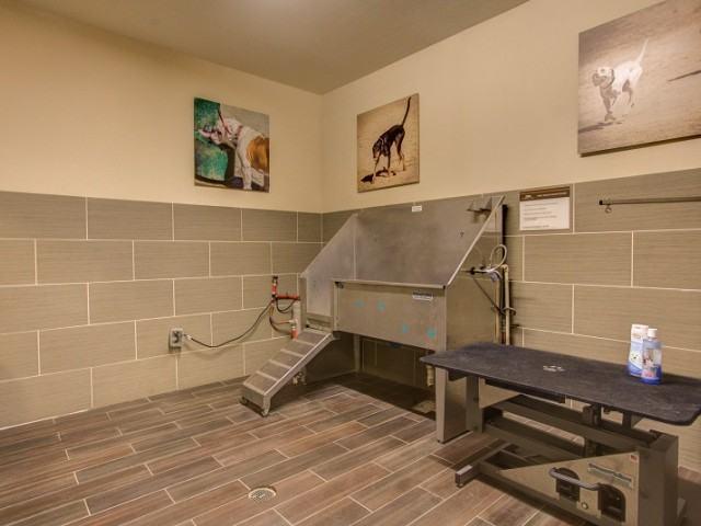 Apartment for rent in Denver, Colorado