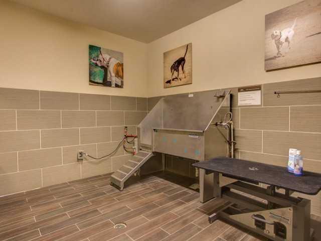 Apartment for rent in Denver, Colorado