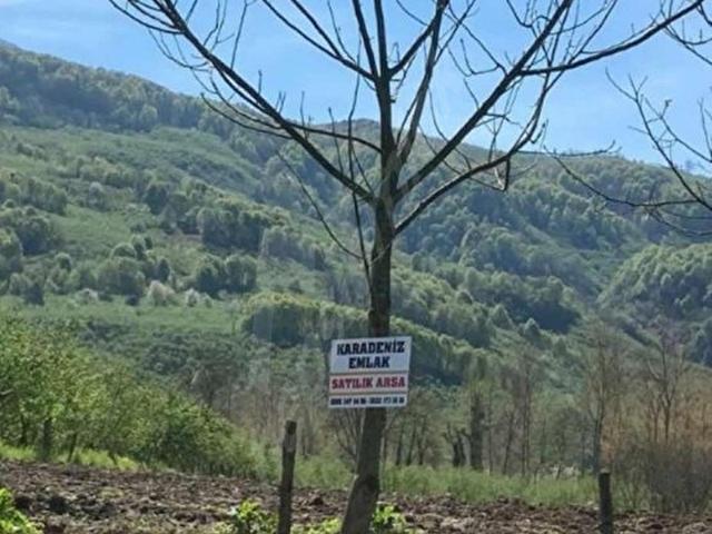 Hendek, Sakarya içerisinde satılık Arsa