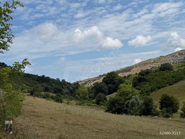 Atakum, Samsun içerisinde satılık Arsa
