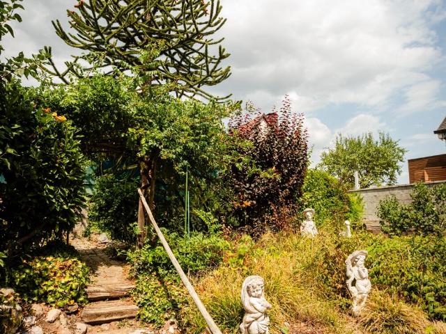 Maison vente à Ammerschwihr, Collectivité européenne d'Alsace