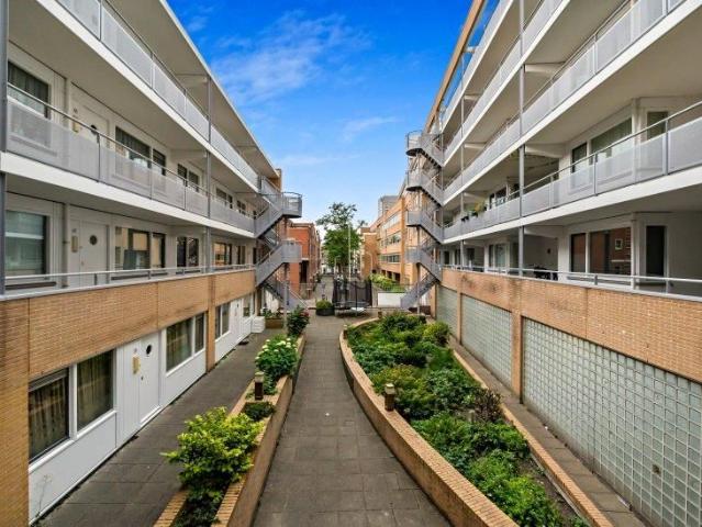 Appartement te huur in Den Haag, Rivierenbuurt Appartement te huur in Den Haag, Rivierenbuurt