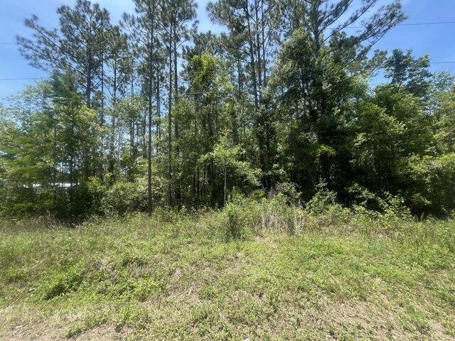 Land for sale in Hastings Land for sale in Hastings